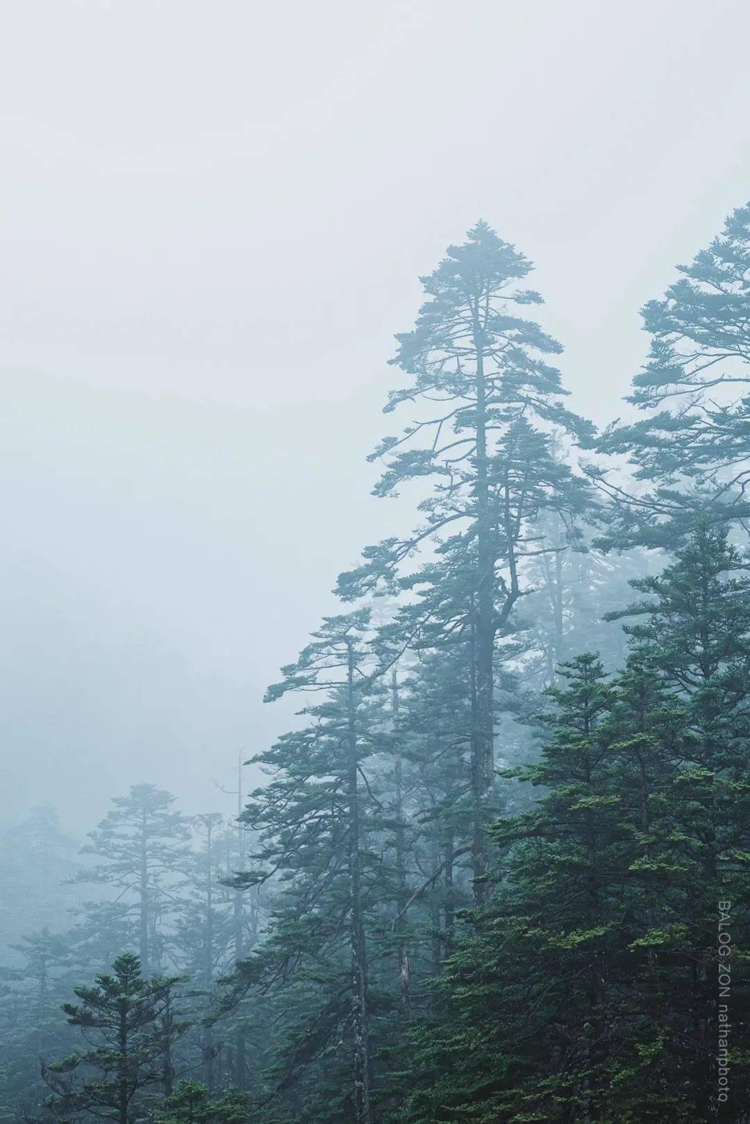 儿童算术题